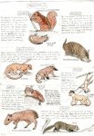 mammals