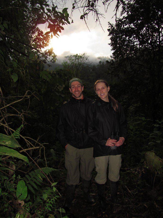 Sunset over the forest