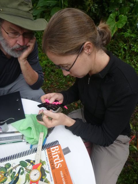 Jo (right) learns from Alison