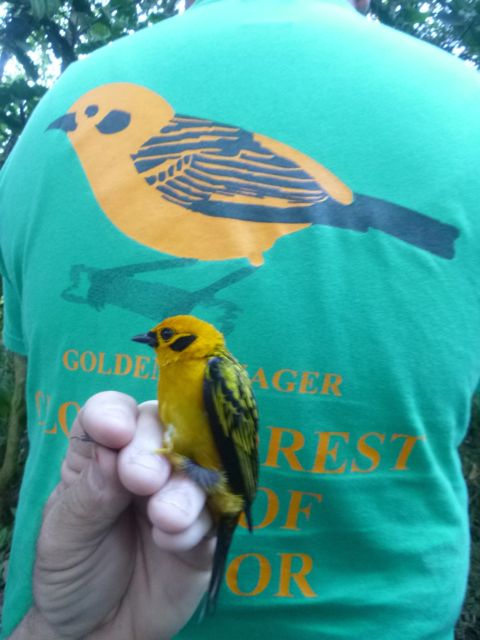 Checking the T-shirt for accuracy