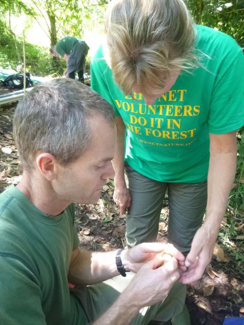 Dr Dusti Becker helps me band a bird