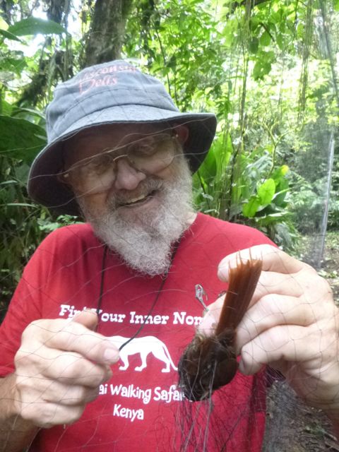 Larry liberates a bird