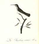 11897944006_b6756b20f3_o