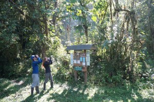 Birding just outside the lodge