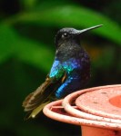 VPCO July 2&nbsp;2016