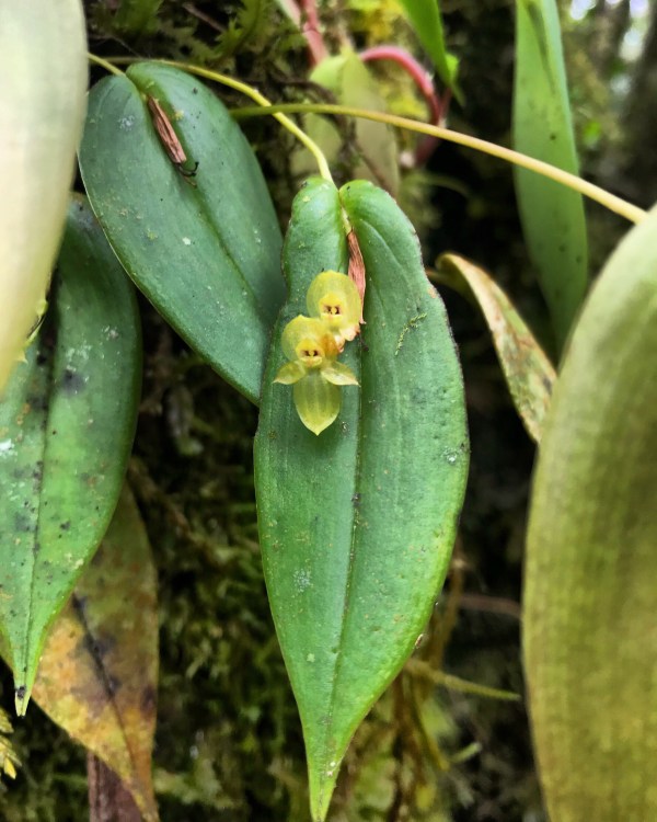 E817719F-9941-406F-B32B-004558D09C65