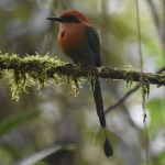 UNADJUSTEDNONRAW_thumb_4b74