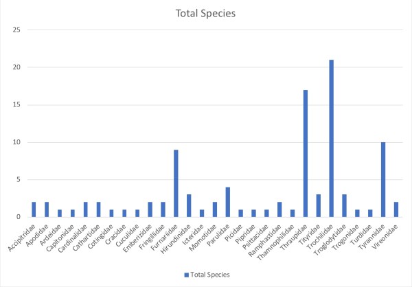 52528CF0-1BF4-447B-8DFB-FD7F4303F234