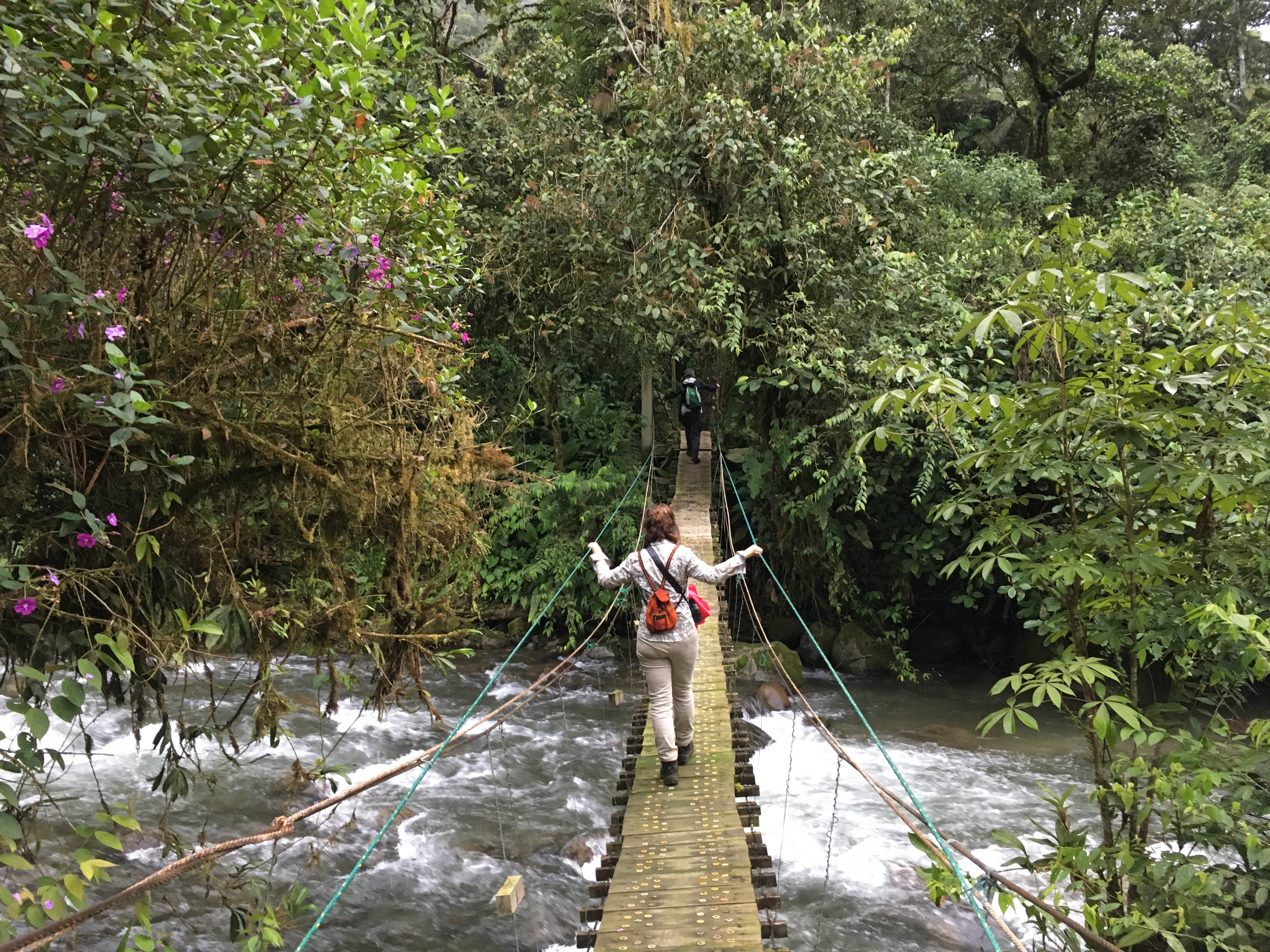 7D72186F-8252-42E3-9AE6-D1B574C5528E