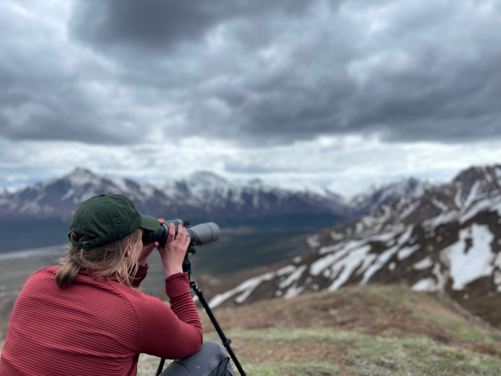 Right: Scoping for large mammals on the mountainside.